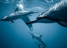 Arc Raiders的匹配机制基于攻击性,如果你表现出敌意,对手也会同样回应