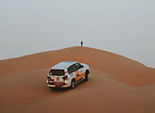 《马匹》评测：被Steam禁售的游戏其实没那么惊世骇俗